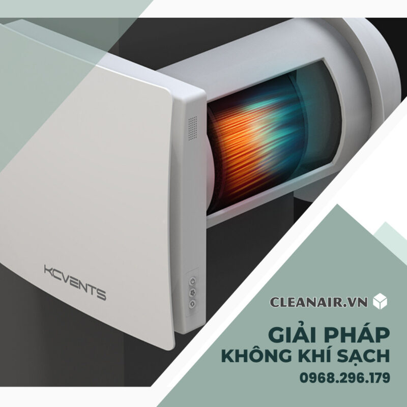 Giải Pháp Chống Nấm Mốc, Bảo Vệ Nội Thất Gỗ Cho Biệt Thự và Nhà Phố Vào Mùa Mưa Ẩm