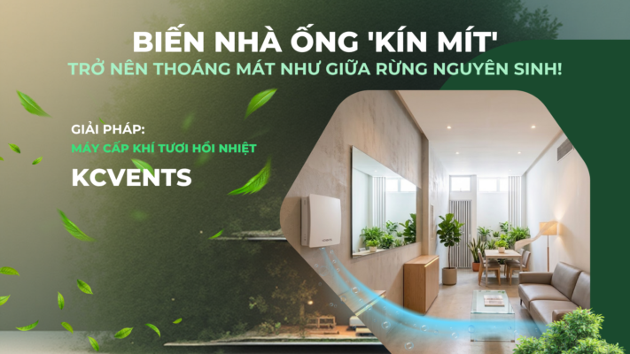 BIEN NHA PHO ONG 22KIN MIT22 TRO NEN THOANG MAT NHU GIUA RUNG NGUYEN SINH